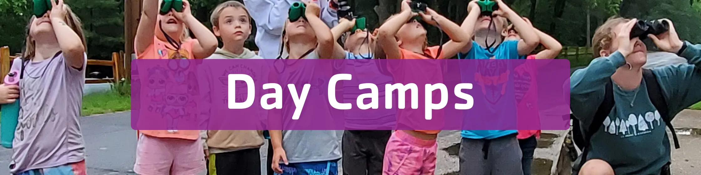 Day Camp