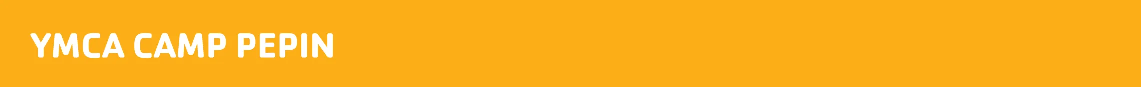 website banner